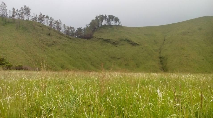 Wisata Bukit Teletubbies