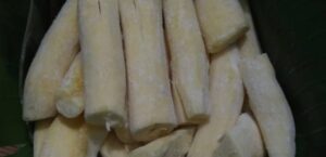 Budidaya Tanaman Obat Herbal