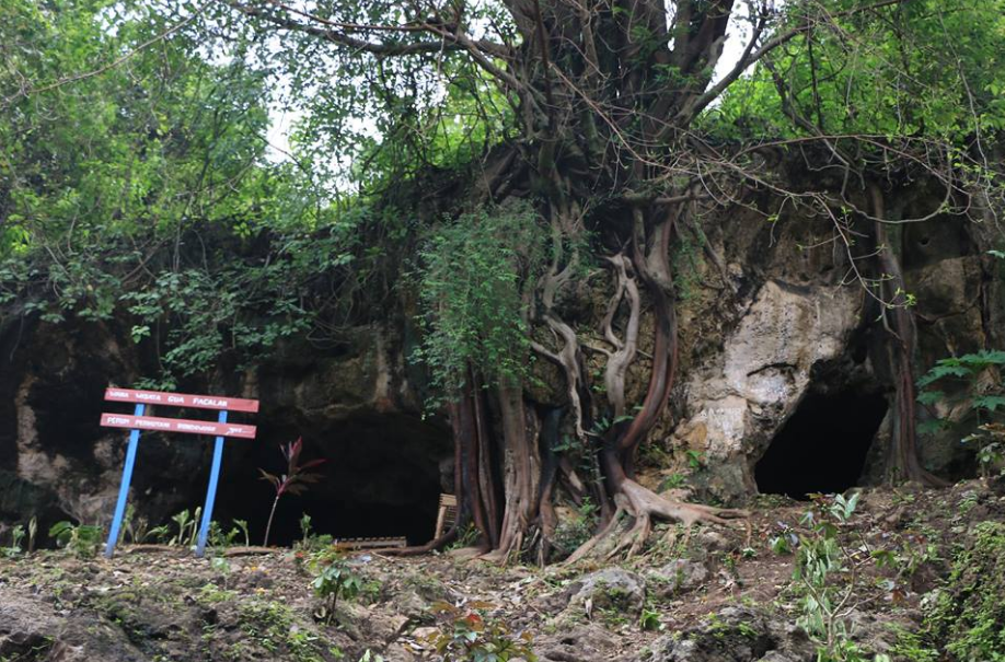 Goa Kembar Pacalangan Bondowoso Masih Alami Goa Kembar Pacalangan Bondowoso Masih Alami